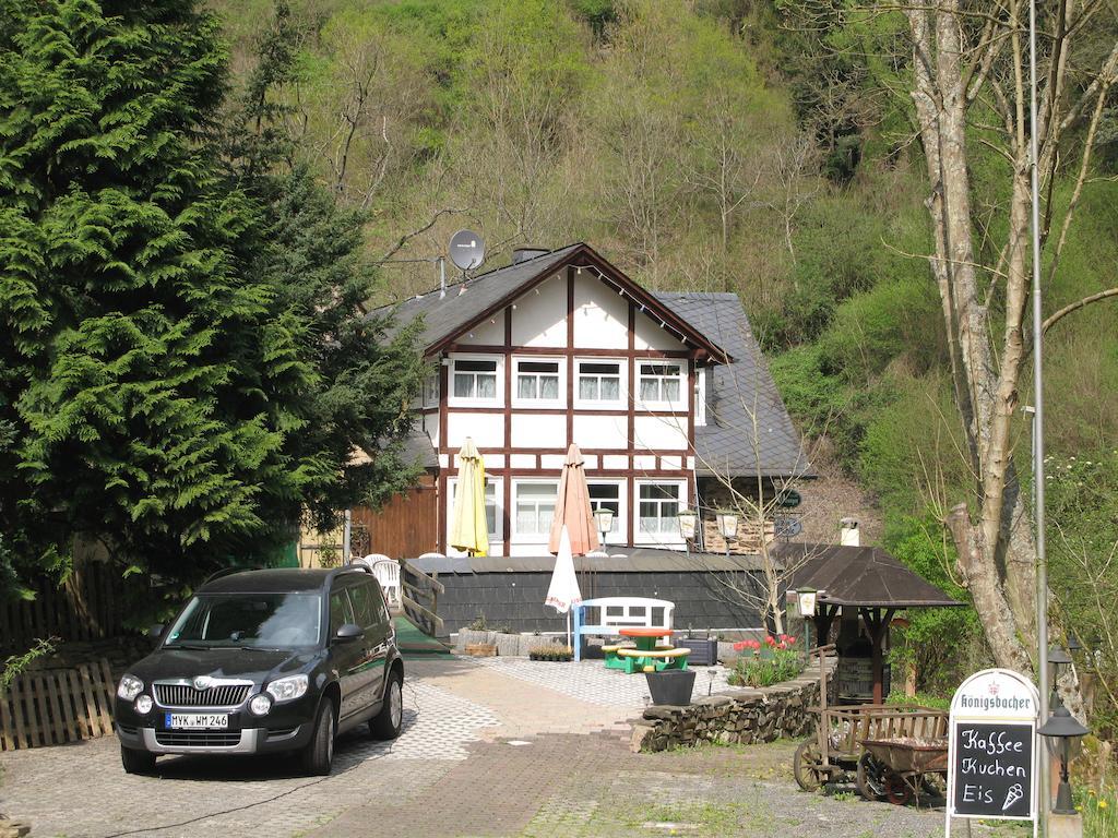 Pension & Apartments Linkemuehle Niederfell Zewnętrze zdjęcie